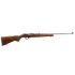 Ruger 10/22 Stainless 22LR 22